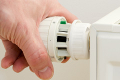 Mold central heating repair costs