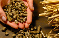 free Mold biomass boiler quotes